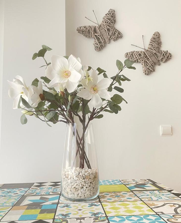 Apartamento Pinares Apartment Soria Exterior photo